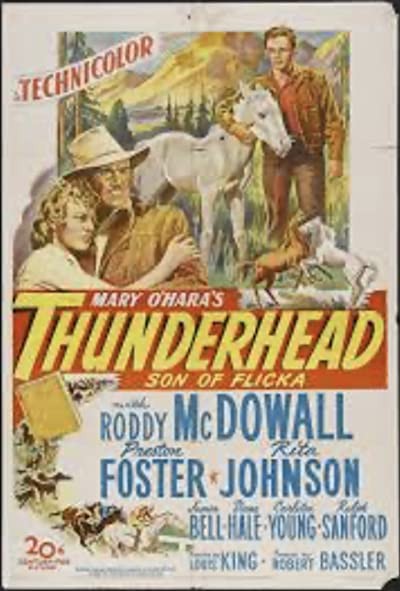 Thunderhead - Son of Flicka (1945) afişi