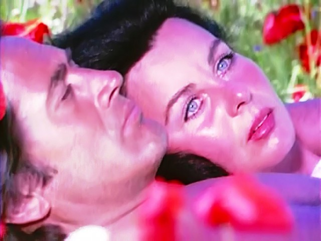 Gelincik fotoğrafı