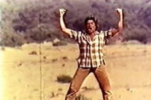 Gelincik fotoğrafı