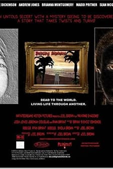 Painting Shadows (2006) afişi