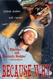 Because Why (1993) afişi