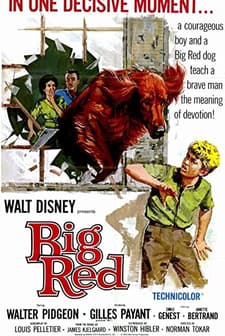 Big Red (1962) afişi