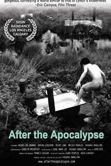 After The Apocalypse (2004) afişi