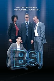 B.s.ı (2008) afişi