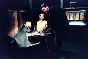 Geçmişi Olmayan Adam Fotoğrafı