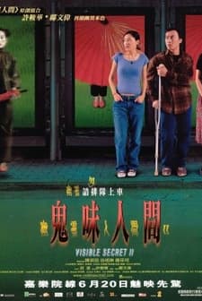 Visible Secret 2 (2002) afişi
