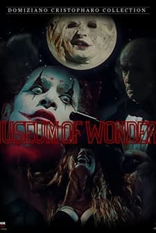 Harikalar Müzesi (2010) afişi