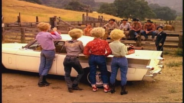 The Cowboy and the Frenchman fotoğrafı