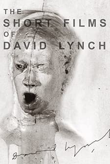 The Cowboy and the Frenchman (1988) afişi