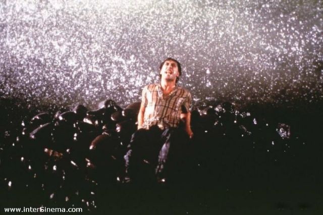 Karanlıktan Önce Fotoğrafı