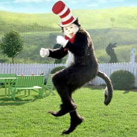 Şapkalı Kedi Fotoğrafı