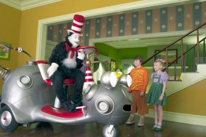 Şapkalı Kedi Fotoğrafı