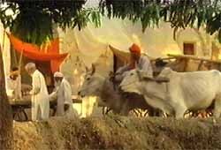 Hindistana Bir Geçit fotoğrafı