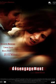 Çözülme (2007) afişi