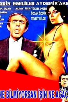 Yüzme Bilmiyorsan İşin Ne Ağaçta (1978) afişi