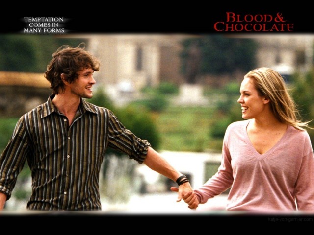 Kan ve Çikolata Fotoğrafı