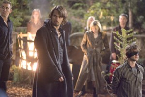 Kan ve Çikolata Fotoğrafı