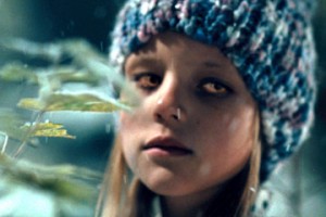 Kan ve Çikolata Fotoğrafı