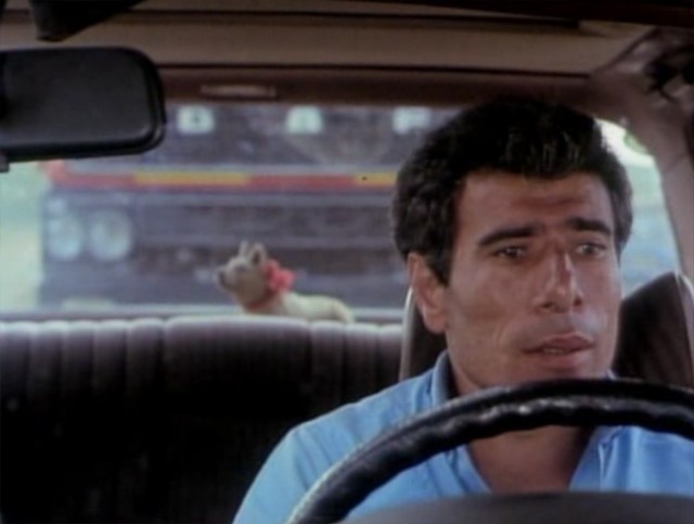 Fikrimin İnce Gülü - Sarı Mercedes Fotoğrafı