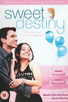 Pink Ludoos (2004) afişi