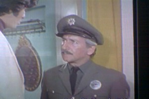 Solan Bir Yaprak Gibi fotoğrafı