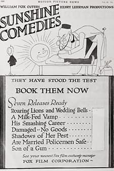 Damaged, No Goods (1917) afişi