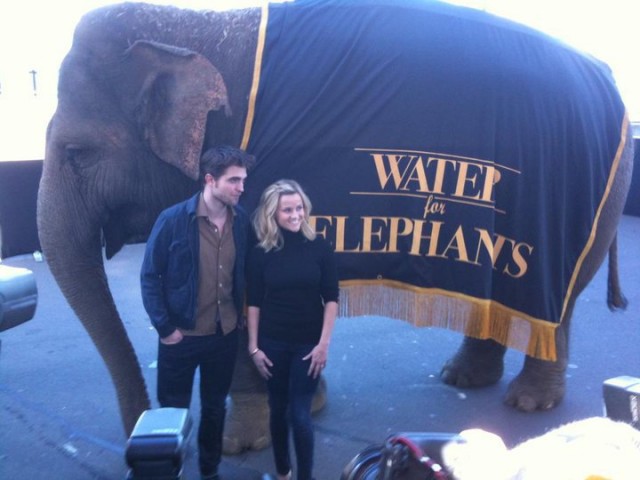 Aşkın Büyüsü Fotoğrafı