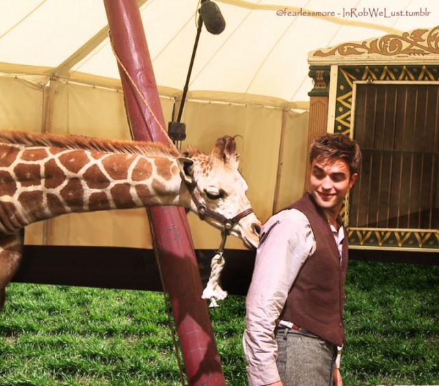 Aşkın Büyüsü Fotoğrafı