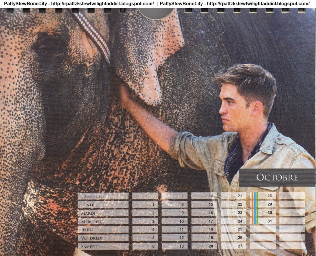 Aşkın Büyüsü Fotoğrafı