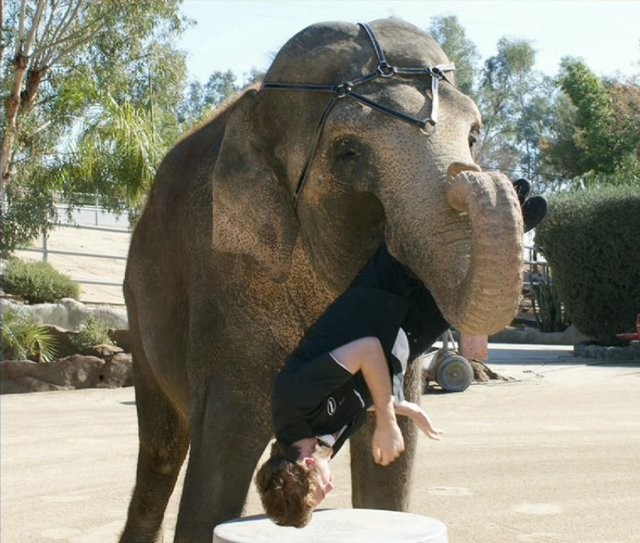Aşkın Büyüsü Fotoğrafı