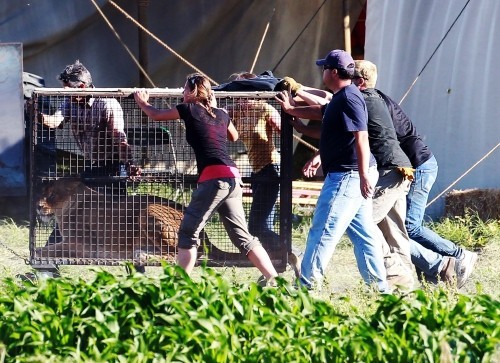 Aşkın Büyüsü Fotoğrafı