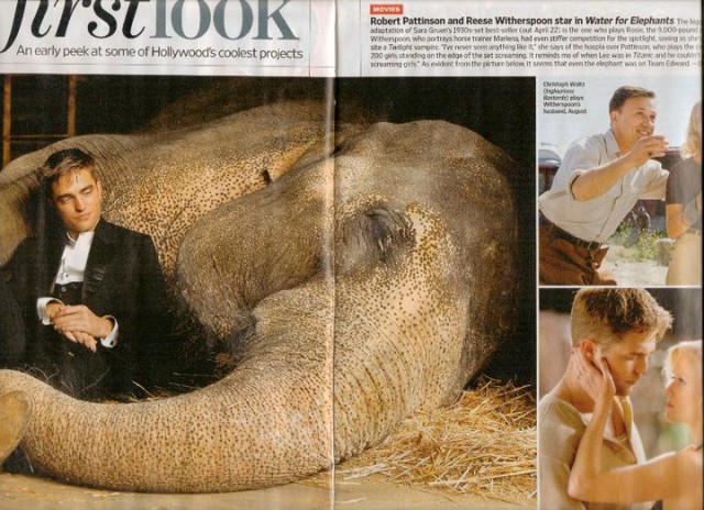 Aşkın Büyüsü Fotoğrafı