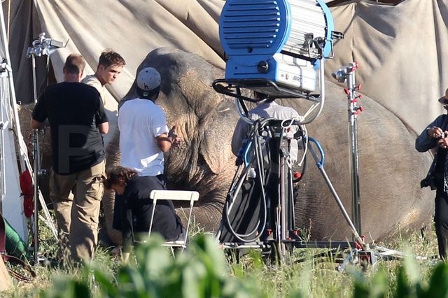 Aşkın Büyüsü Fotoğrafı