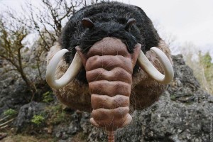 RRRrrrr!!! fotoğrafı