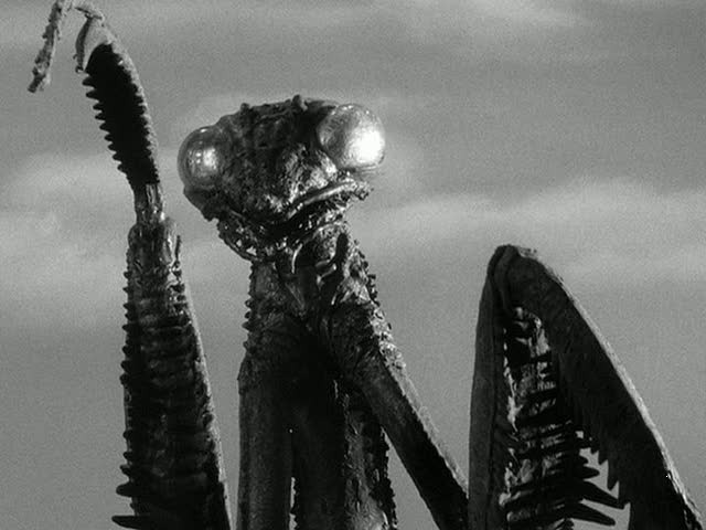 Ölümcül Mantis fotoğrafı