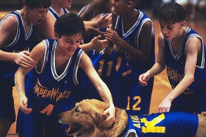 Sayı Kralı Buddy Fotoğrafı