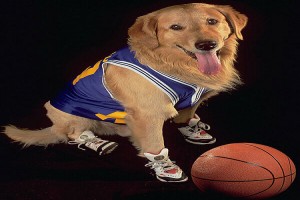 Sayı Kralı Buddy fotoğrafı