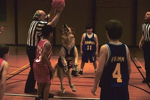 Sayı Kralı Buddy fotoğrafı