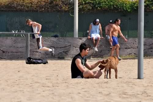 Blue in The Face fotoğrafı