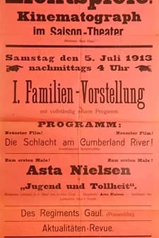 Jugend Und Tollheit (1913) afişi