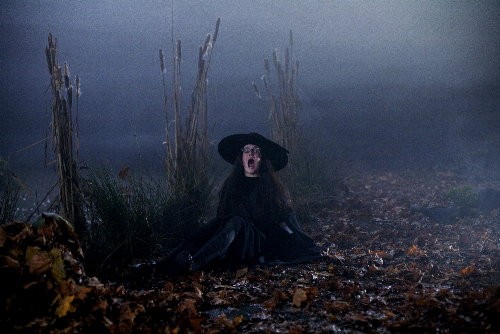 Cadılar Bayramı Fotoğrafı