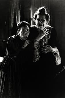 Dangerous Females (1929) afişi