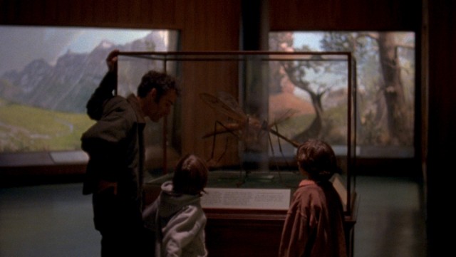 Daddy Longlegs fotoğrafı