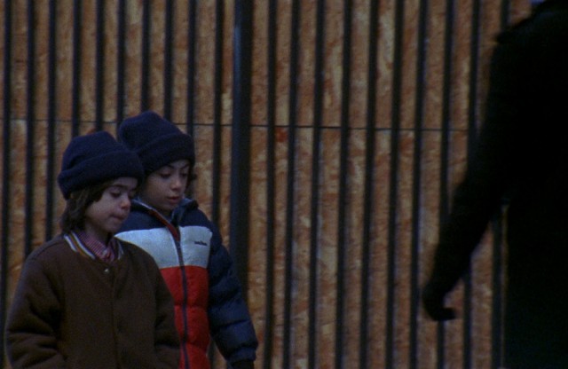 Daddy Longlegs fotoğrafı