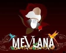 Gönüller Sultanı Mevlana (1989) afişi