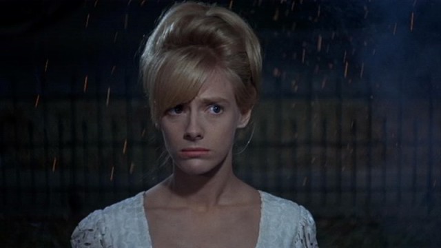 Yürek Yalnız Bir Avcıdır Fotoğrafı