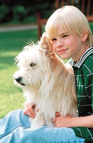 Kalabalık Ve Mutlu fotoğrafı