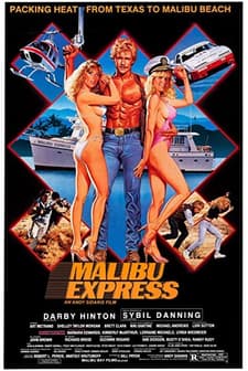 Malibu Express (1985) afişi