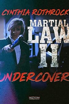 Silahsız Dövüş (1991) afişi