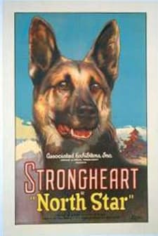 North Star (1925) afişi